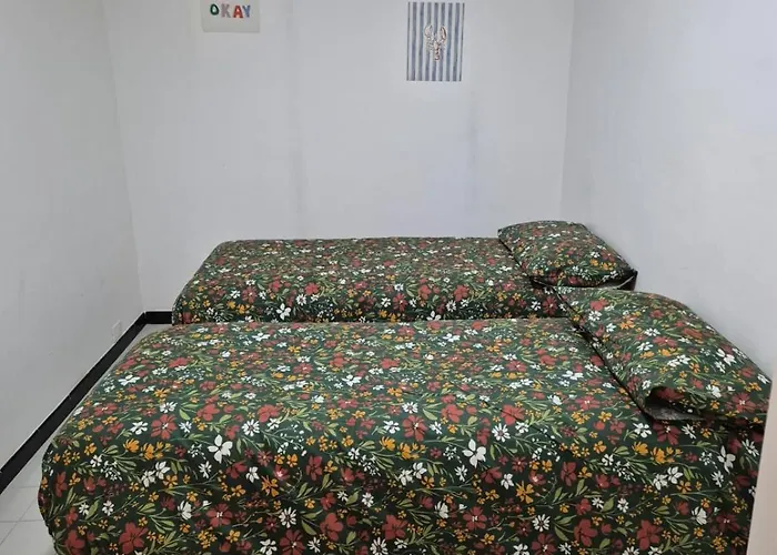 Casa Caterina 公寓 阿拉西奥